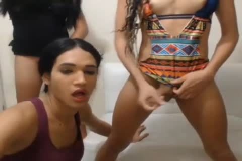 Naughty Trannies Anal Fuck And Hot Blowjobs