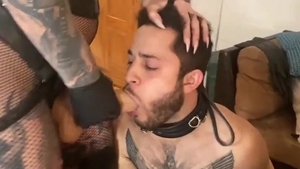 domme, Transexual, And serf