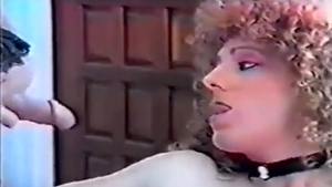 1977 Vintage sheboy Porn Classic