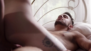 Transsensual: Lingerie and Trans Loving